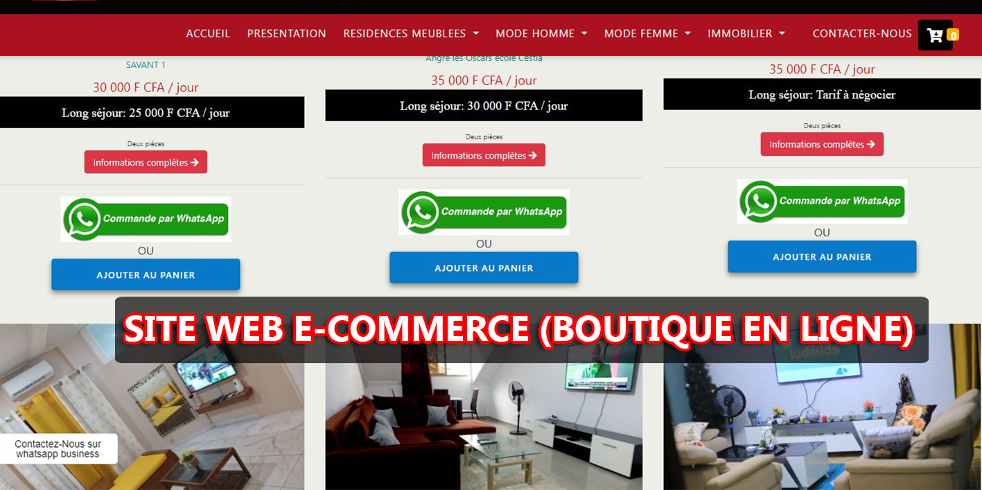 site web e-commerce -Boutique en ligne - Panel Consulting.jpg